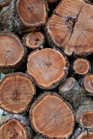 Stock Image: Stacked Logs Background