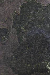 Stock Image: stone texture