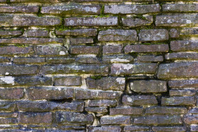 Stock Image: stone wall texture covered with moss