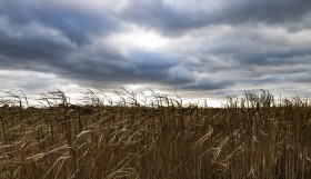 Stock Image: storm clouds over field