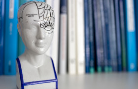 Stock Image: Structure of the human brain in a doctor's office