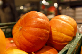 Stock Image: Sugar Pie Pumpkins. Bright orange fruits. Healthy eco food.