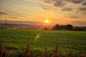 Stock Image: Sunset over a field