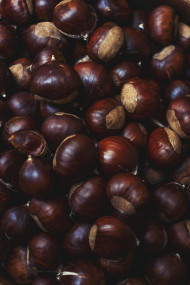 Stock Image: many sweet chestnuts texture background