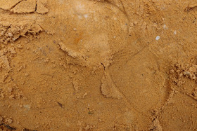 Stock Image: texture of the sand