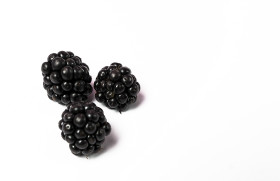 Stock Image: three blackberries white background