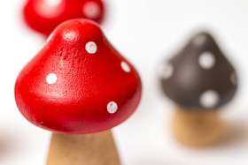 Stock Image: toadstools made of wood white background