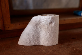 Stock Image: Toilet paper roll