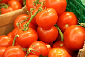 Stock Image: Tomatoes