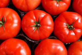 Stock Image: tomatoes background