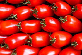 Stock Image: tomatoes background