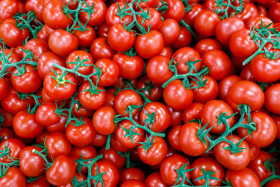 Stock Image: tomatoes background