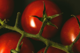 Stock Image: tomatoes close up