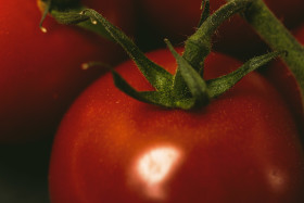 Stock Image: tomatoes close up