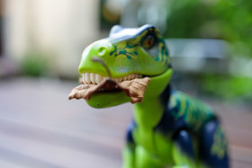 Stock Image: Toy T-Rex