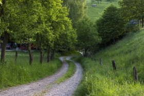 Stock Image: track across the fields in germany