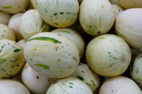 Stock Image: Turkish honeydew melons