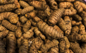 Stock Image: turmeric roots