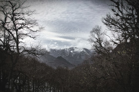 Stock Image: View of the mountains from the forest