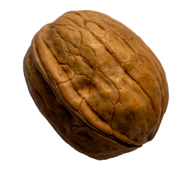 Stock Image: Walnut transparent background png