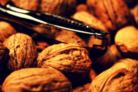 Stock Image: walnuts