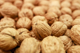 Stock Image: walnuts