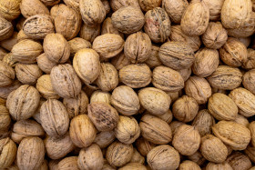 Stock Image: Walnuts