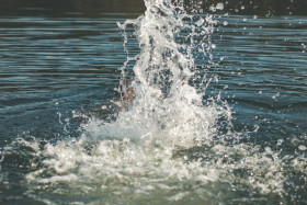 Stock Image: water splash