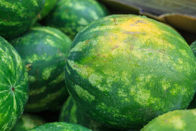 Stock Image: watermelons background