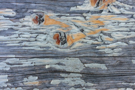 Stock Image: Weather Marked Wood Texture