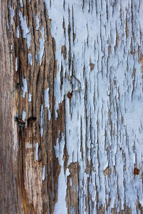 Stock Image: weathered blue wood texture