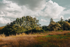 Stock Image: Western style farm land