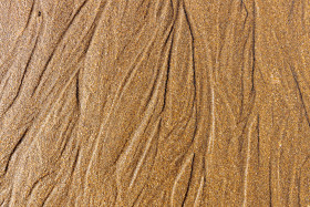 Stock Image: Wet sand beach texture