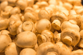 Stock Image: white mushrooms champignons
