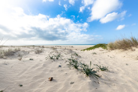 Stock Image: White sand beach in tarifa spain
