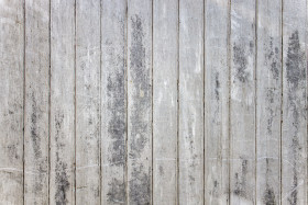 Stock Image: White wood texture background
