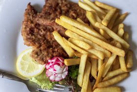 Stock Image: Wiener Schnitzel with French fries and a side salad top view