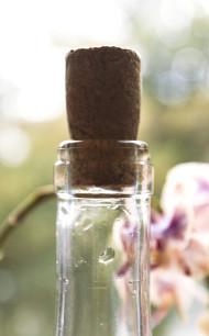 Stock Image: wine bottle with cork