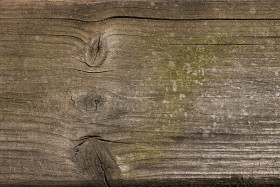 Stock Image: wood grain texture