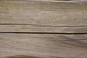 Stock Image: wood grain texture