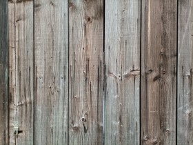 Stock Image: Wood plank Texture