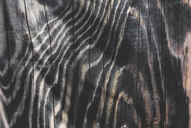 Stock Image: wood texture