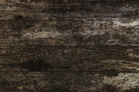 Stock Image: wood texture