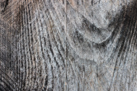 Stock Image: wood texture