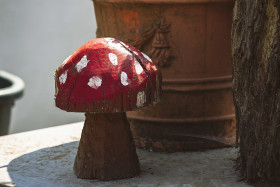 Stock Image: wooden fly agaric