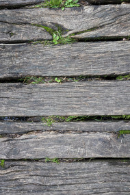 Stock Image: Wooden planks texture