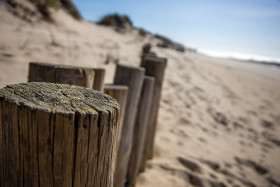 Stock Image: Wooden wall on the beach in Spain