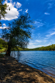 Stock Image: wuppertalsperre tree on lake