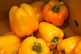 Stock Image: Yellow Bell pepper