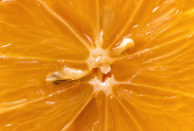 Stock Image: yellow lemon macro background